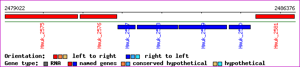 gene map