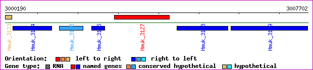 gene map