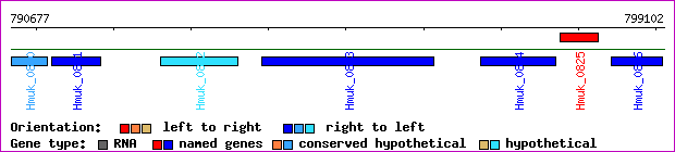 gene map