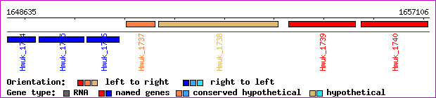 gene map