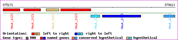 gene map