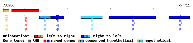 gene map