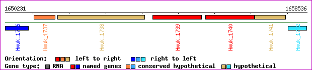 gene map