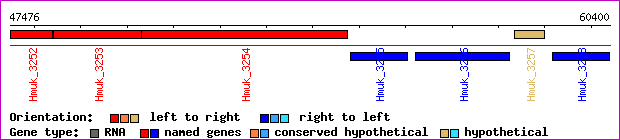 gene map
