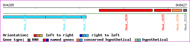 gene map