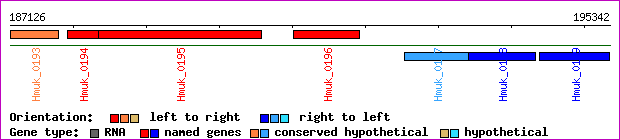 gene map