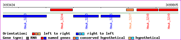 gene map