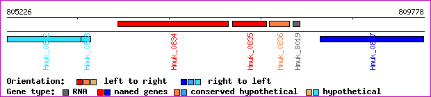 gene map