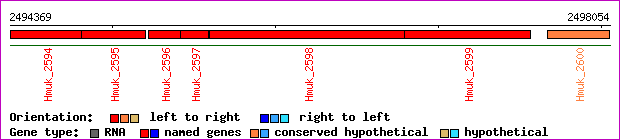 gene map
