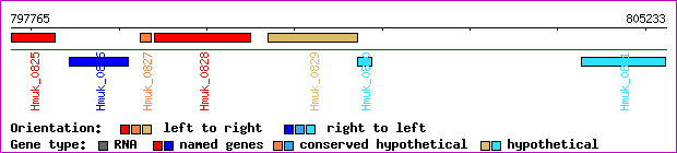 gene map