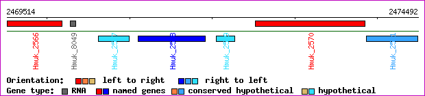gene map