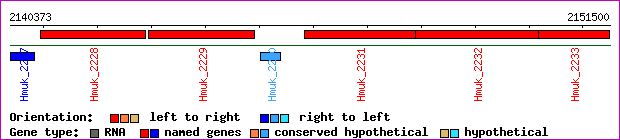 gene map