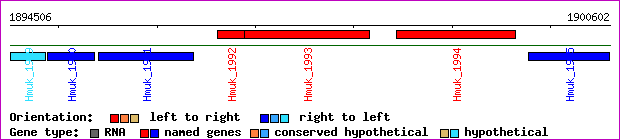 gene map