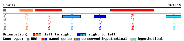 gene map