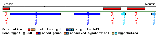 gene map
