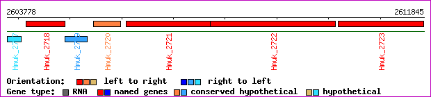 gene map