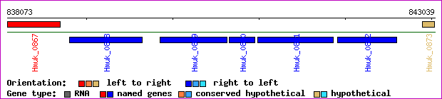 gene map
