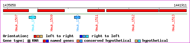 gene map