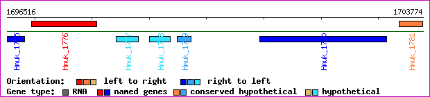 gene map