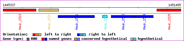 gene map