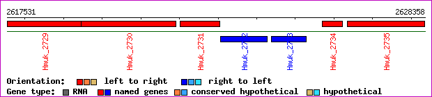 gene map