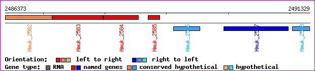 gene map