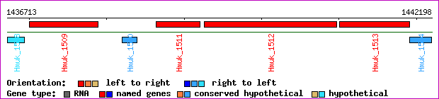 gene map