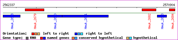 gene map