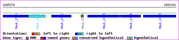 gene map