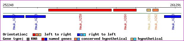 gene map