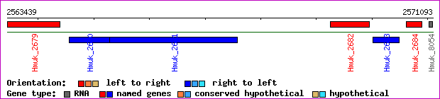 gene map