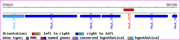 gene map