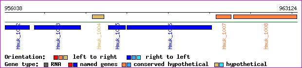 gene map