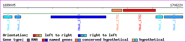 gene map