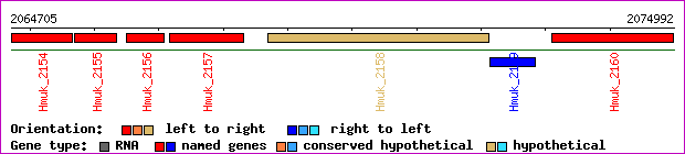 gene map