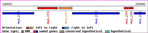 gene map