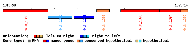 gene map