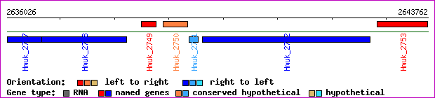 gene map
