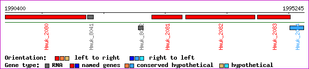 gene map