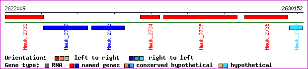 gene map