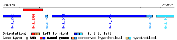 gene map