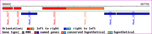 gene map