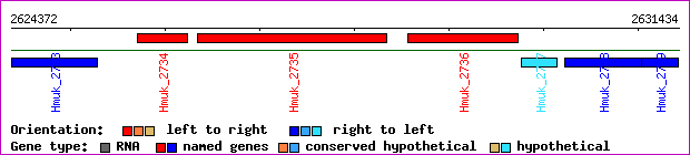 gene map