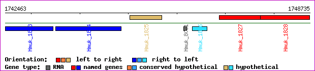 gene map