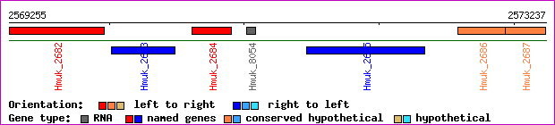 gene map