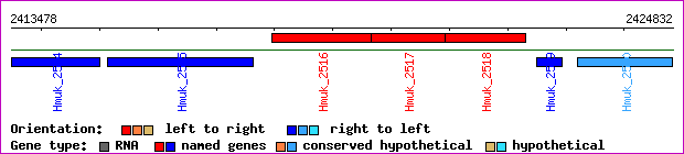gene map