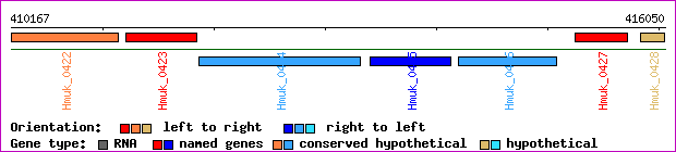gene map