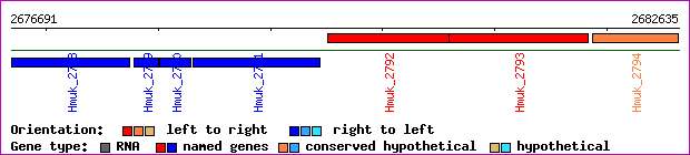 gene map