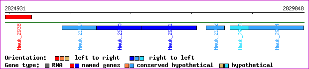 gene map