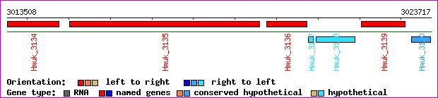 gene map